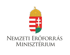 NEFMI